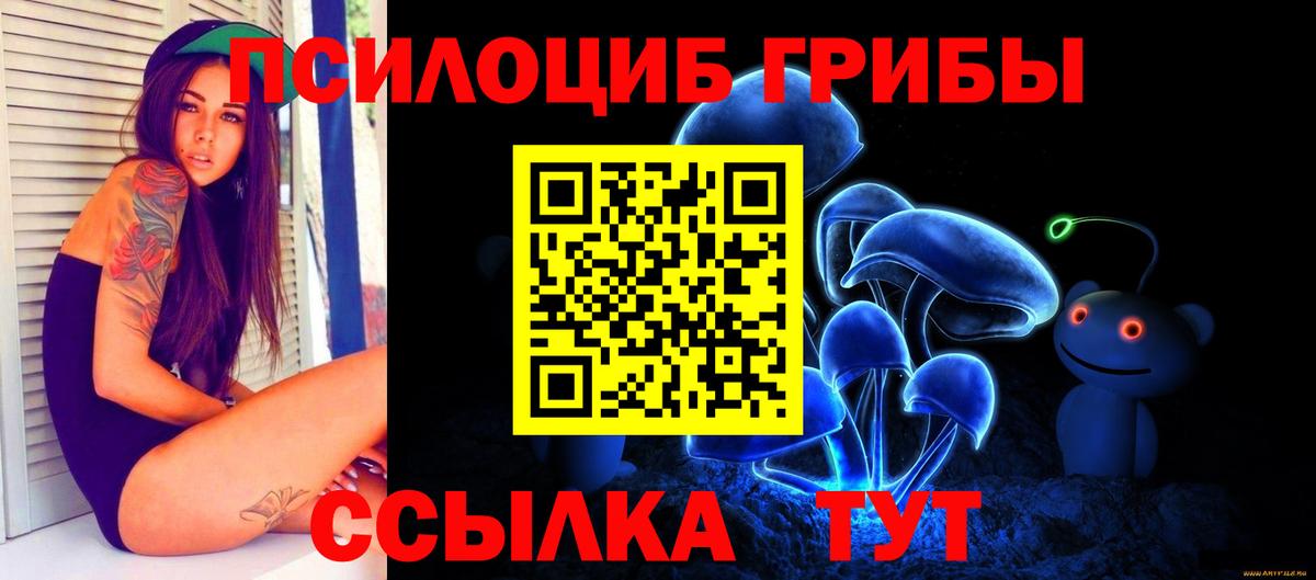 Галлюциногенные грибы Psilocybe Медногорск